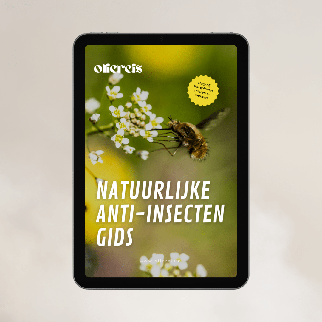 Oliegids anti-insecten ongedierte natuurlijke oplossingen