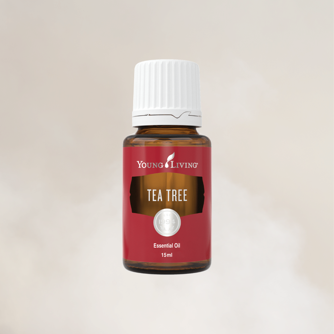 Tea Tree Etherische Olie Young Living Oliereis